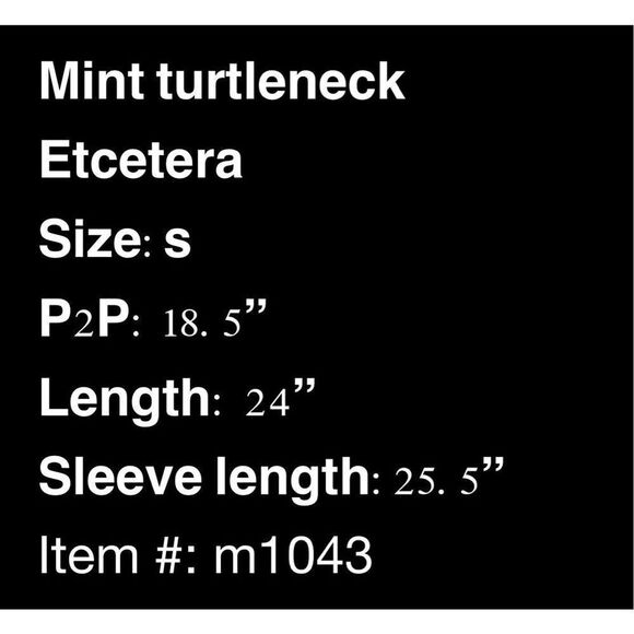 Etcetera mint turtleneck sweater with unique button back - Picture 9 of 9